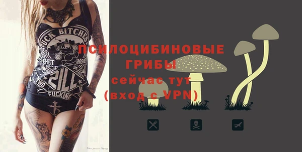 спиды Арсеньев