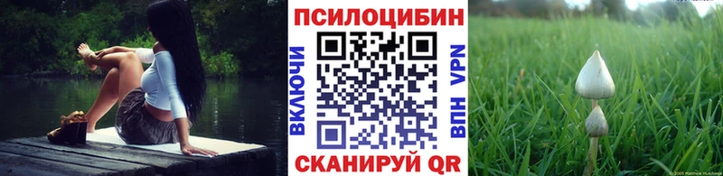 мега зеркало  Стрежевой  Псилоцибиновые грибы мицелий 